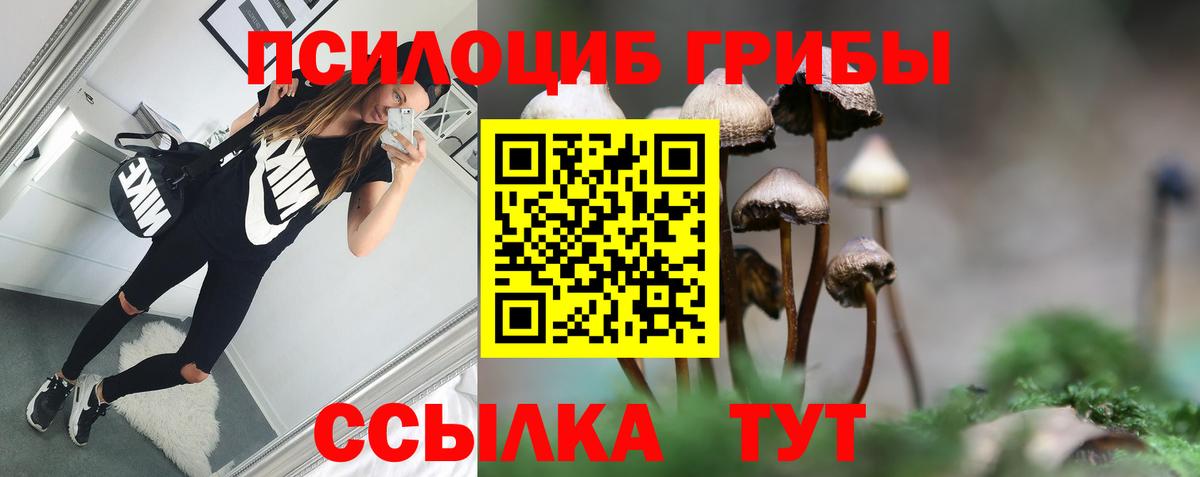 Галлюциногенные грибы Cubensis Куйбышев