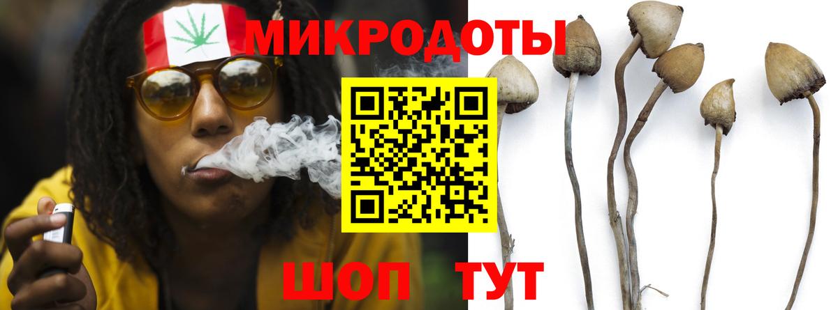 Куйбышев  Псилоцибиновые грибы Cubensis  Вход с VPN 